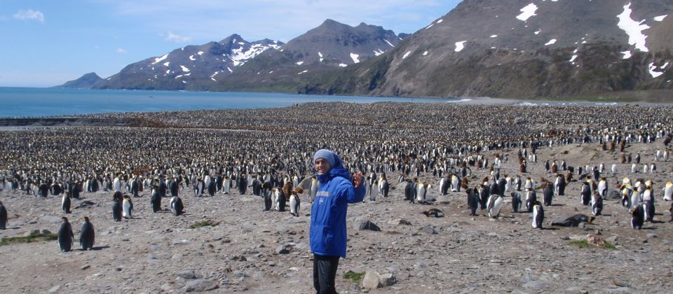 Experiencing 200,000 King Penguins on way to Antarctica, South Georgia Islands, 28 yrs old